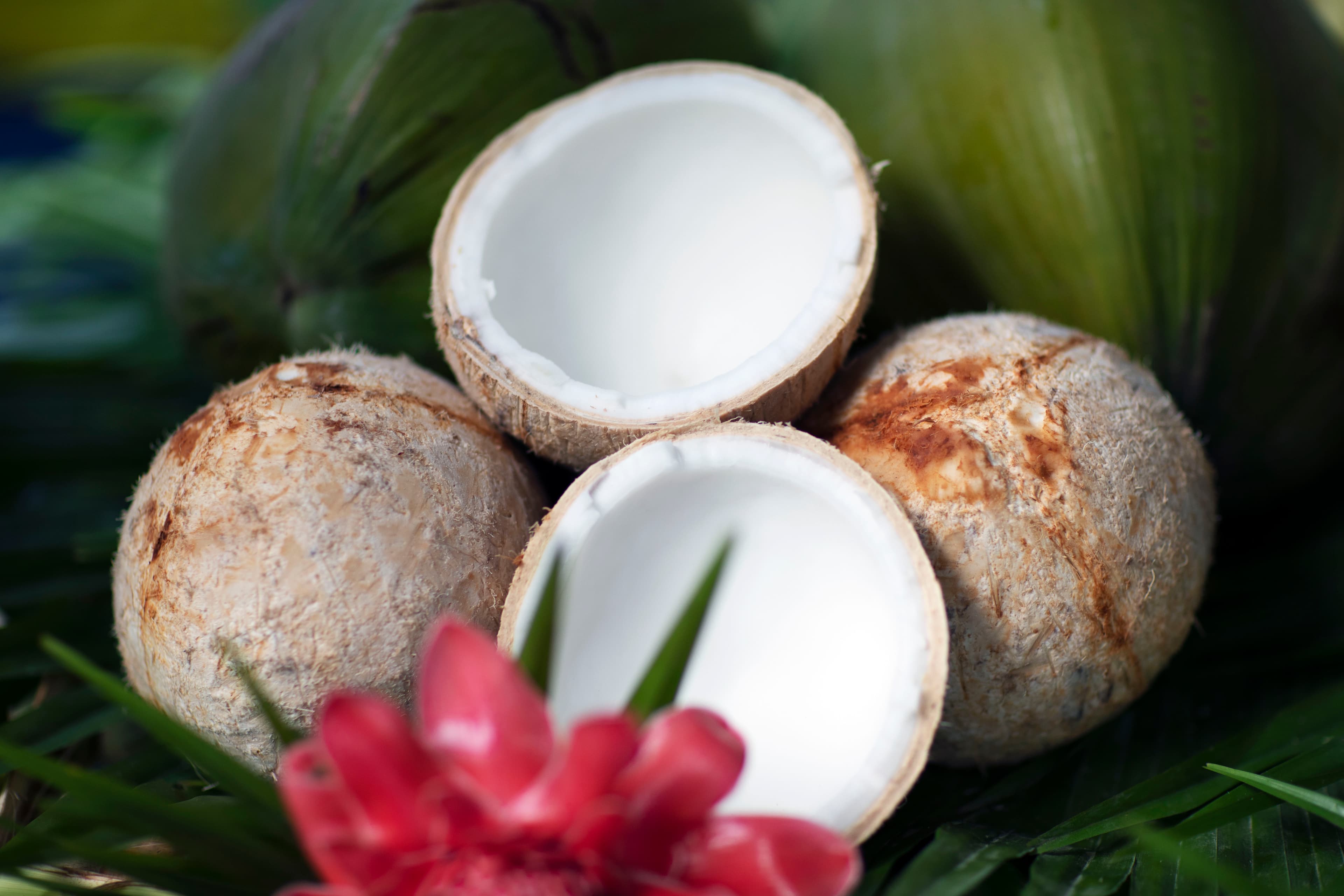 S.A.L.T. Shore Excursions