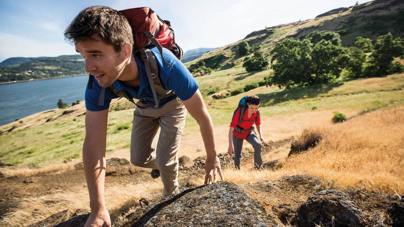 Guided Shore Excursions