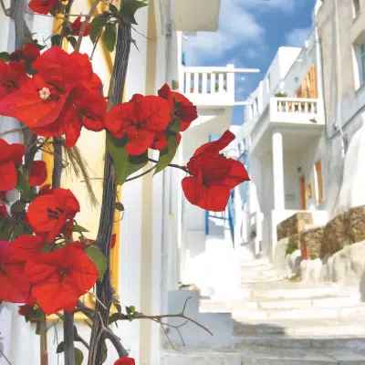 Excursions and Talks