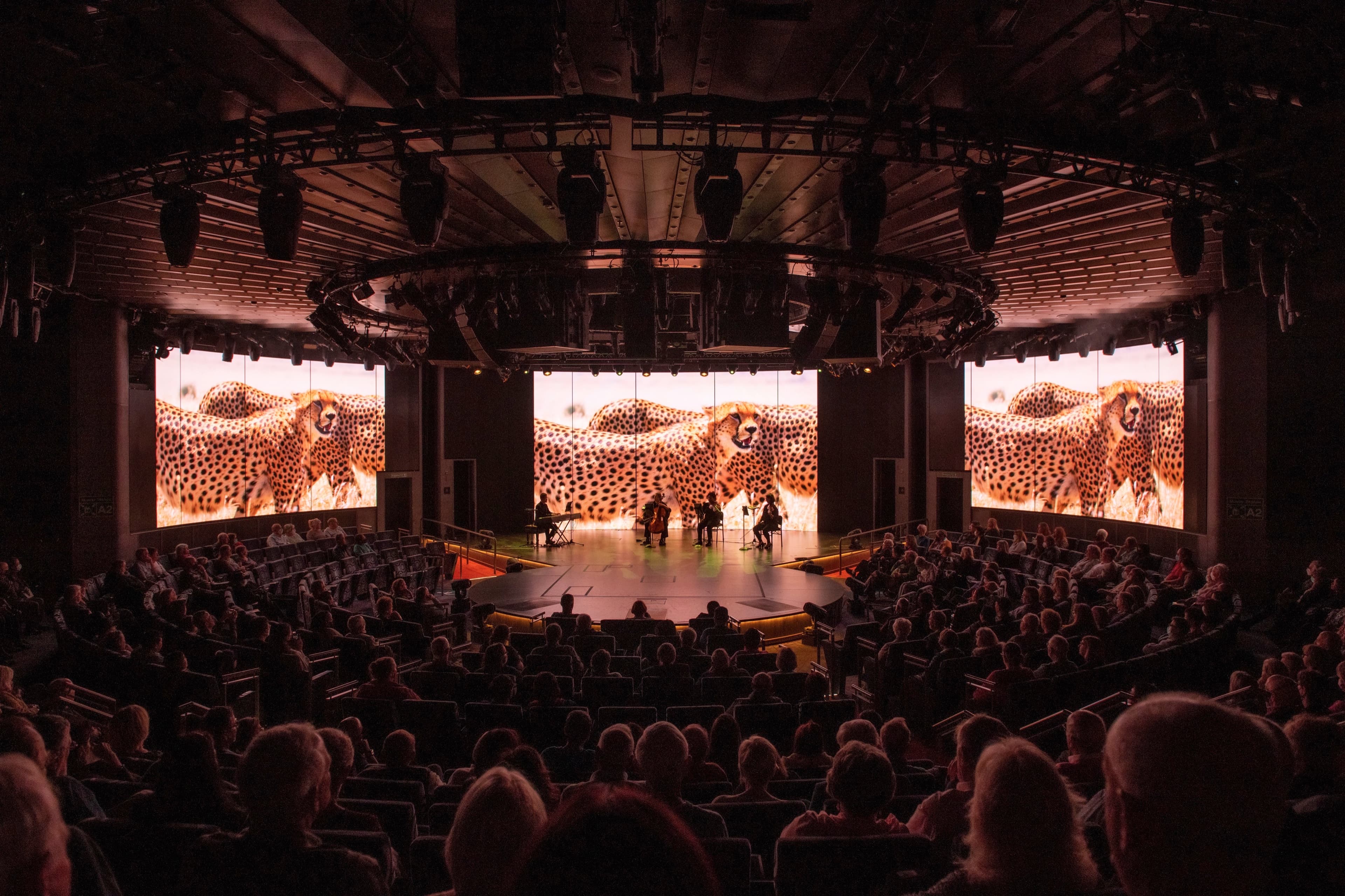 BBC Earth Live in Concert