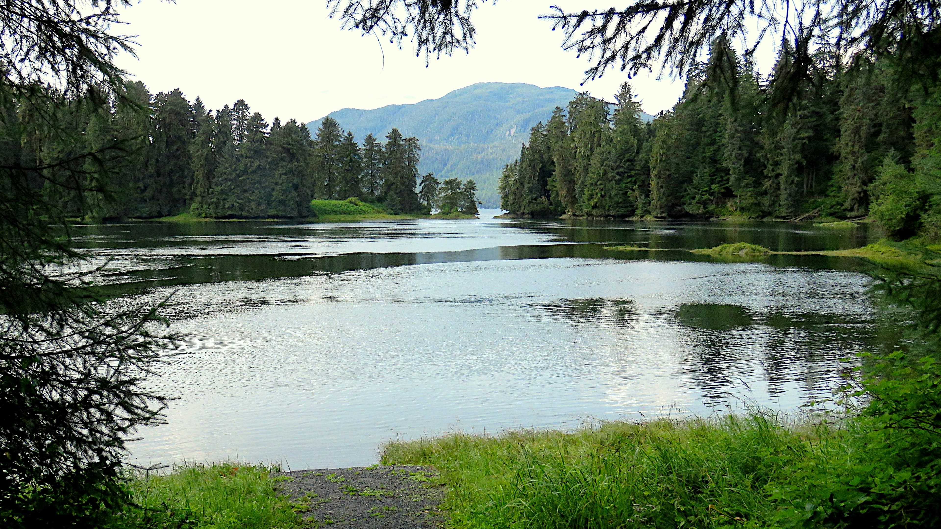 阿拉斯加與不列顛哥倫比亞 | 內峽灣 藏猻與阿留申群島 | 南行之旅