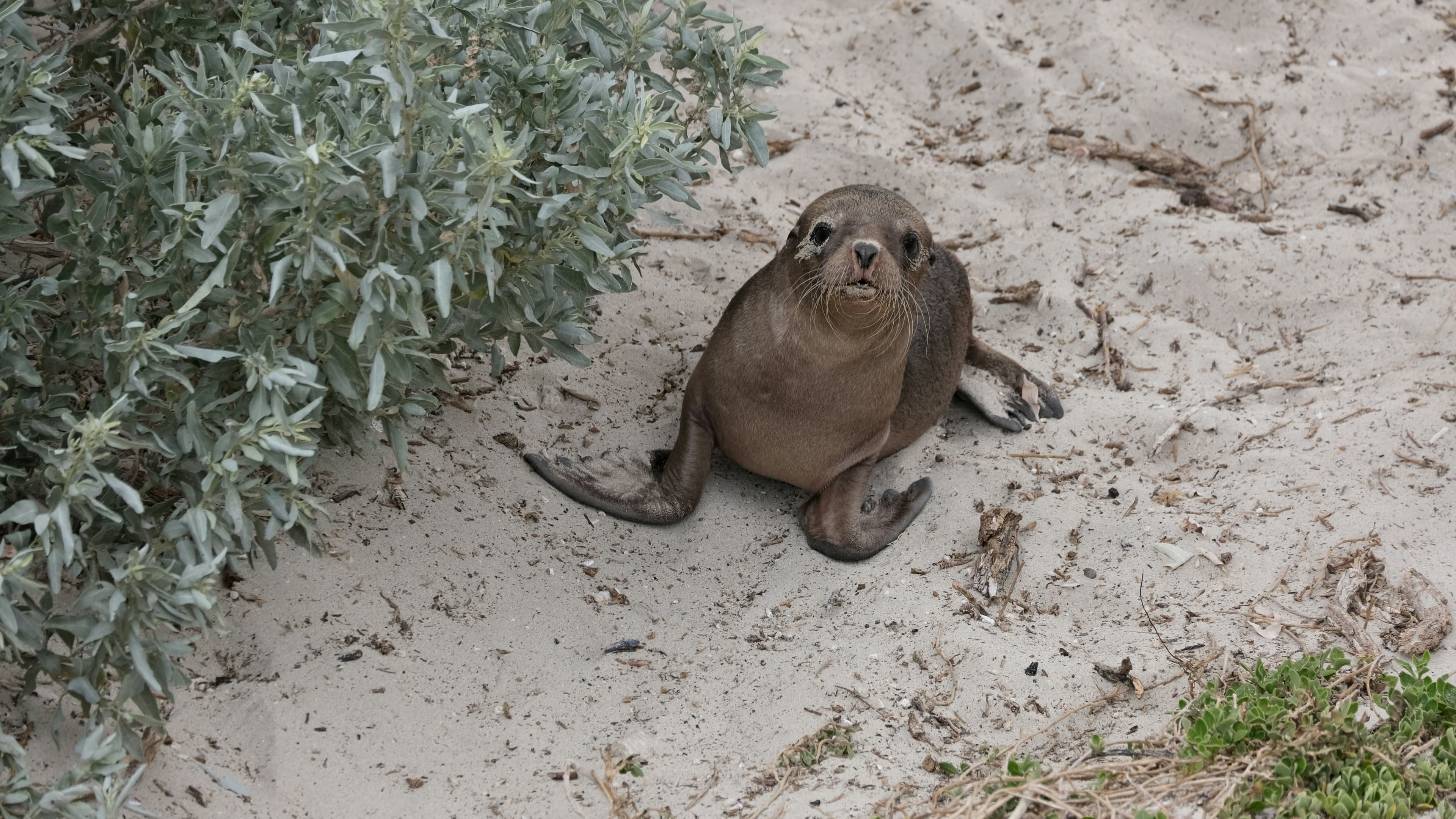 28天新西蘭與南澳大利亞探險收藏之旅