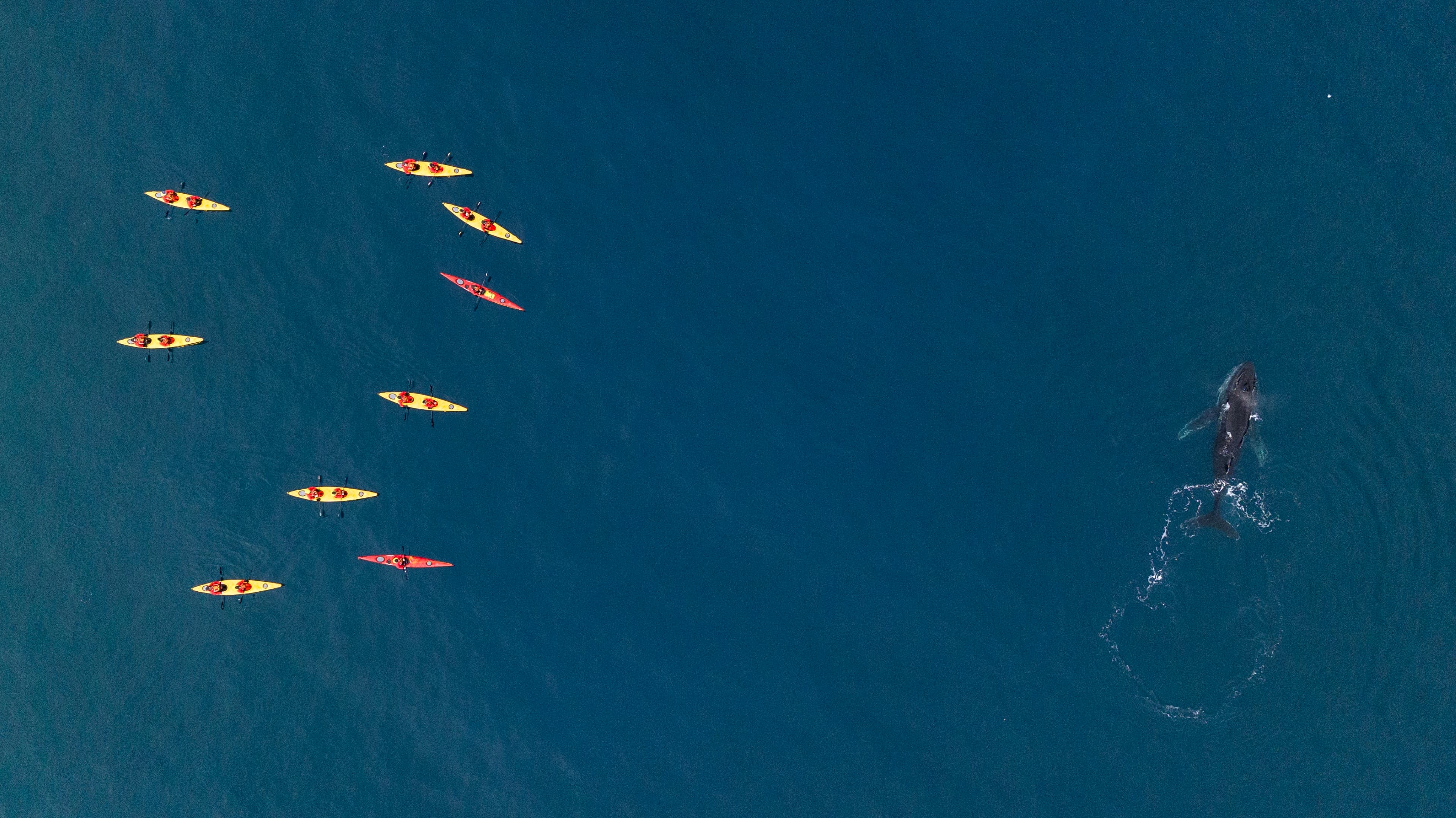 Ventures By Seabourn®