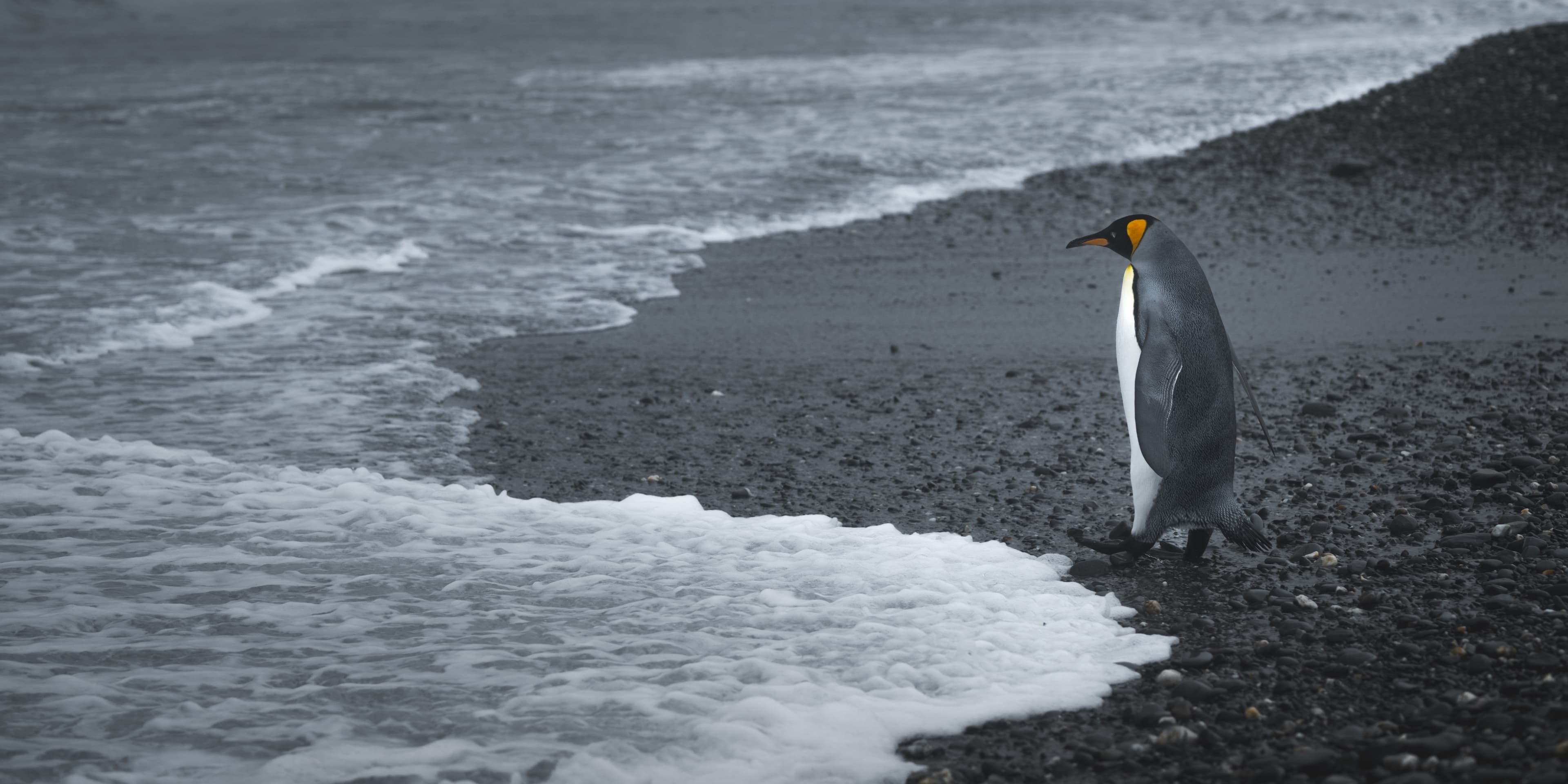 Ventures By Seabourn®