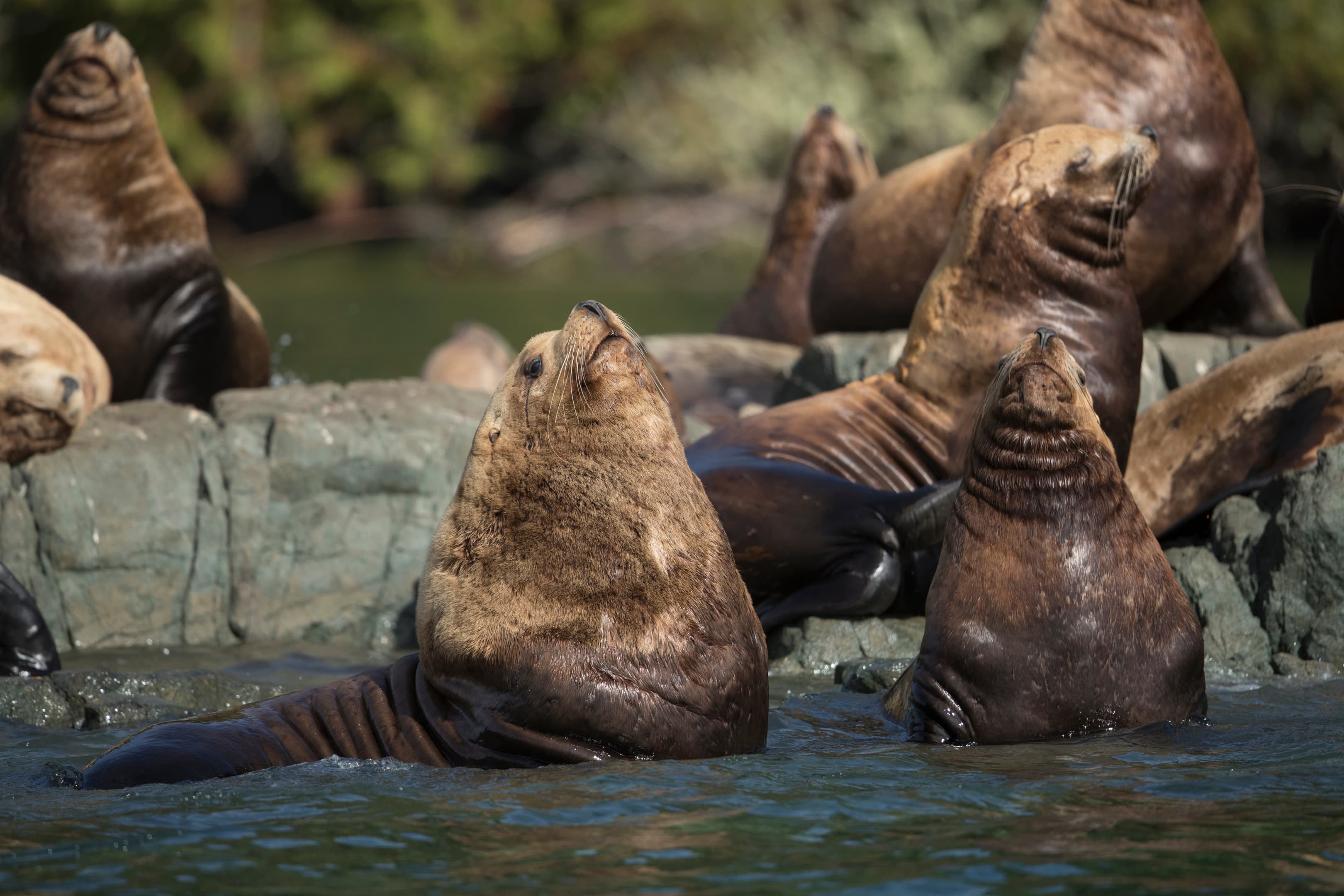 Shore Experiences By Seabourn