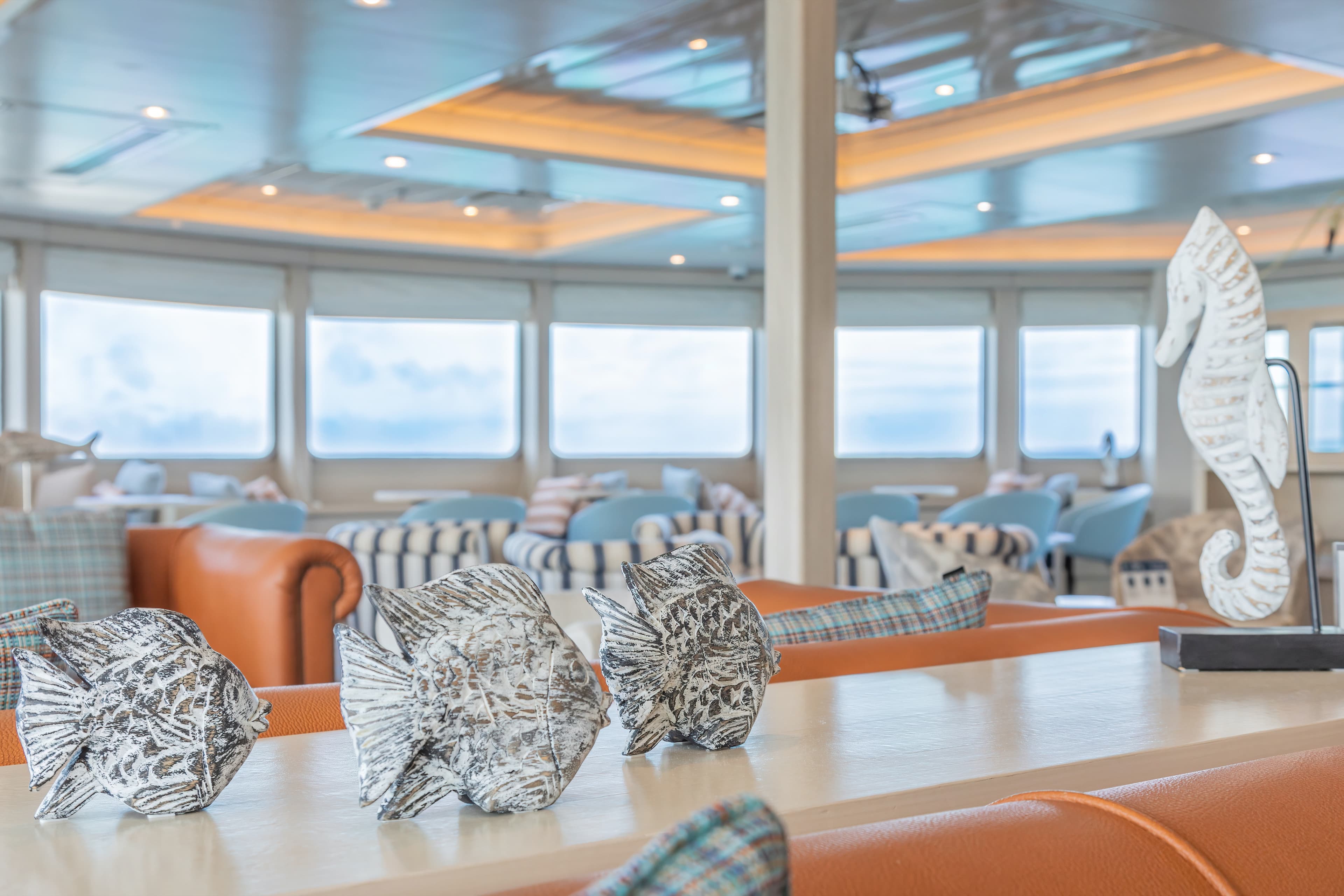 Expedition Lounge & Bar with Science Corner and Library