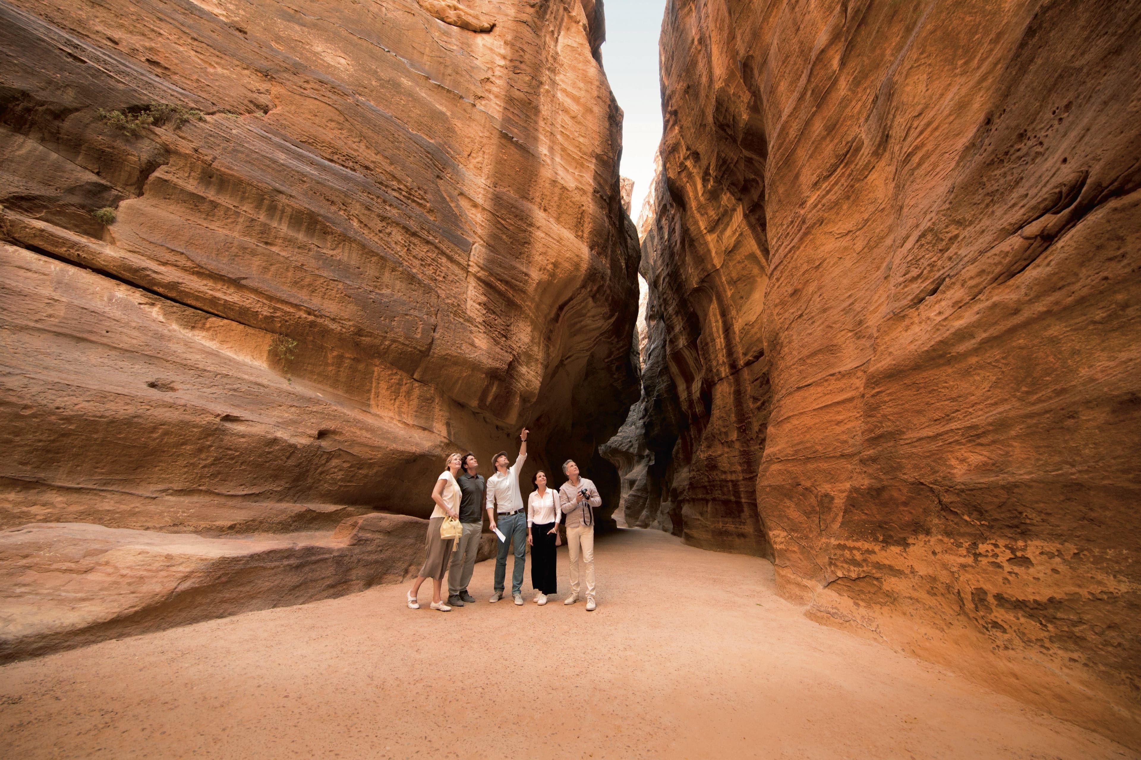 Guided Shore Excursions